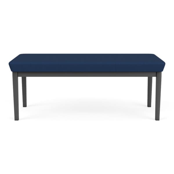 Amherst Steel 2 Seat Bench